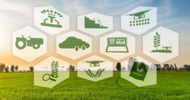 Agri Marg's Hyderabad Agri Tournament: Linking Farms & Fields