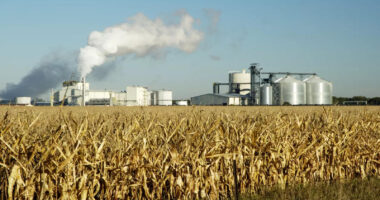 Agritech Leader Secures